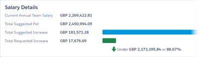 Screenshot showing a salary plan budget displayed in the reporting currency